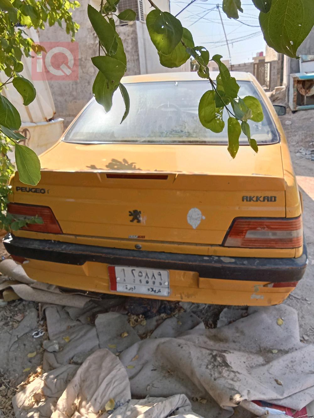بیجۆ 405